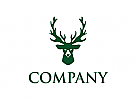 Hirsch Logo, Jagd Logo, Tier, Wald, Camping,Firma Logo, Unternehmen Logo, Beratung Logo, Logo, Grafikdesign, Design, Branding