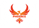 , Phoenix, Phnix, Vogel, Feuer, Sicherheit, Adler, Falke, berwachung