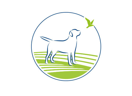 , Hund, Vogel, Hundeschule, Tierpflege, Tierarzt, Arztpraxis, Logo