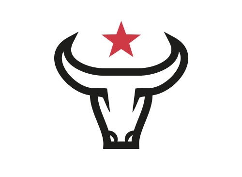 Stier Logo, Stern Logo