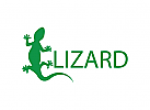 eidechse, reptil, Film, Medien, Produktion, Sport, Frosch, Grn, Logo